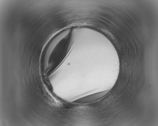 X0000052920894200508050800