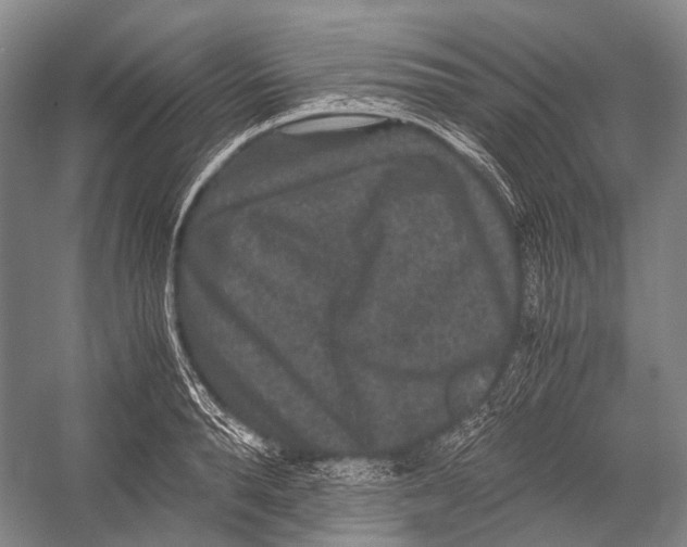 X0000052920896200508050800