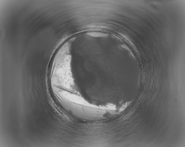X0000052920899200508050800