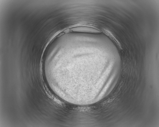 X0000052920900200508050800