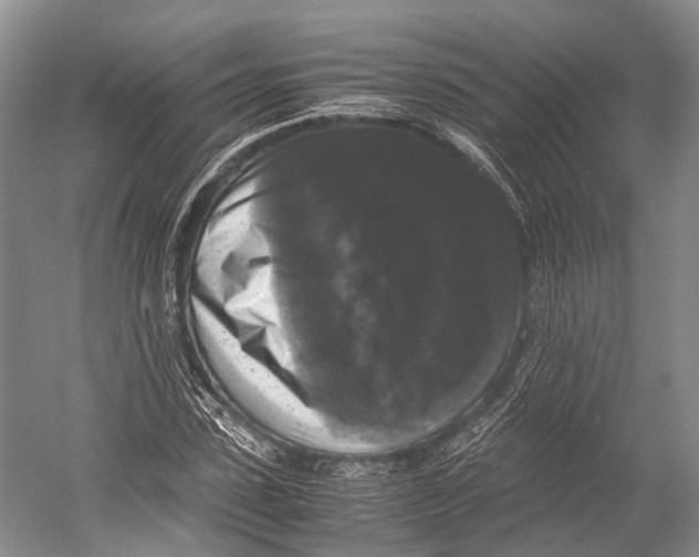X0000052920923200508050759