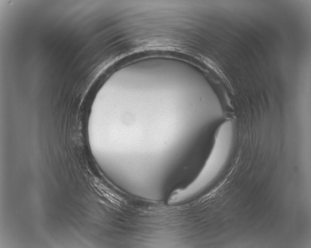 X0000052920926200508050759