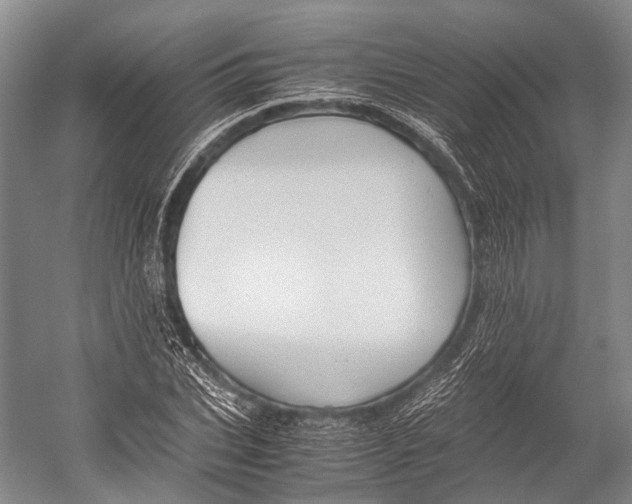 X0000052920927200508050759