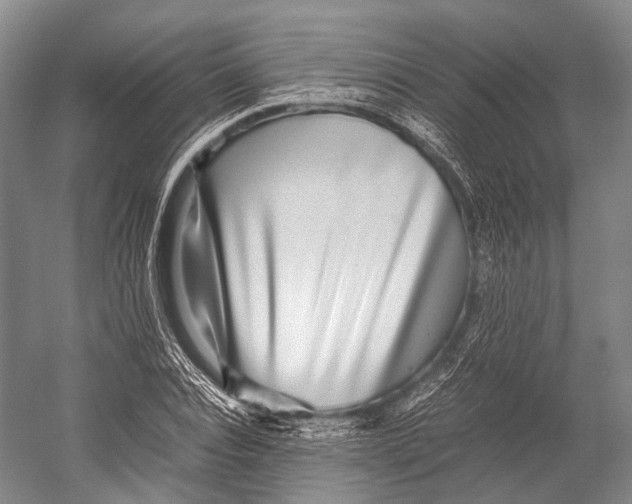 X0000052920928200508050759