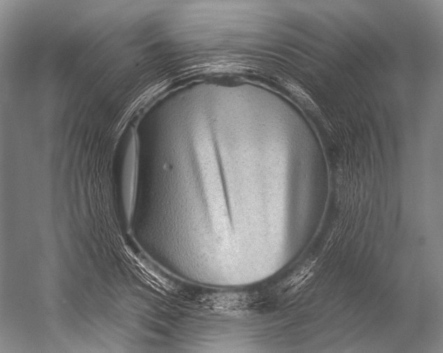 X0000052920930200508050759