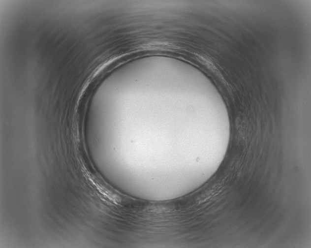 X0000052920931200508050759
