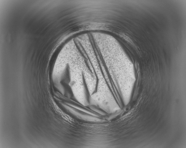 X0000052920934200508050759