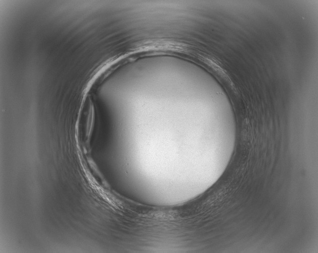 X0000052920936200508050759