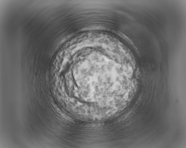 X0000052920937200508050759