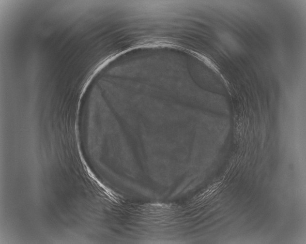 X0000052920943200508050800