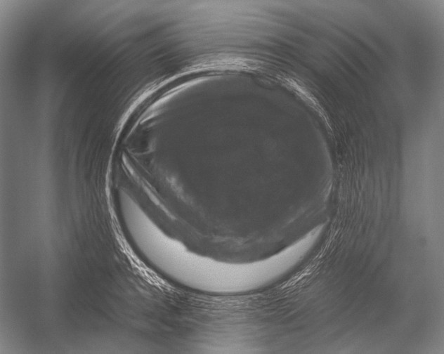X0000052920944200508050800