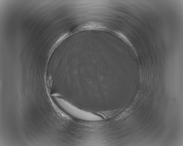 X0000052920946200508050800