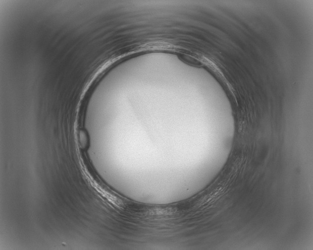 X0000052920947200508050800