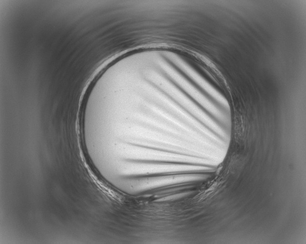 X0000052920951200508050800