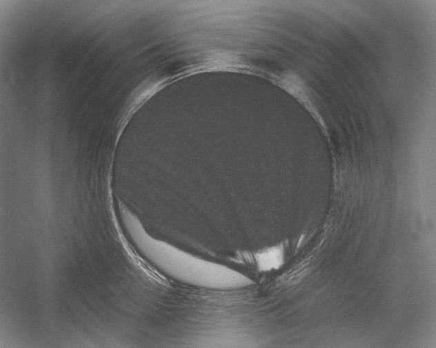 X0000052920954200508050800