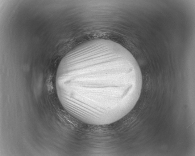 X0000052920962200508050759