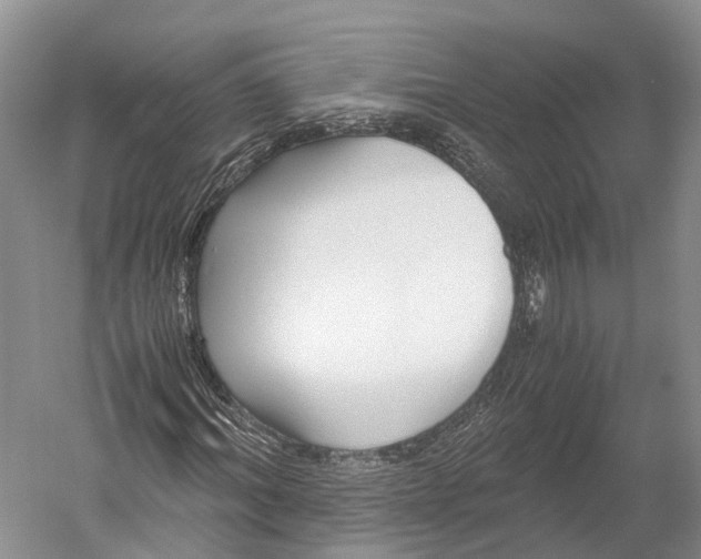 X0000052920964200508050759