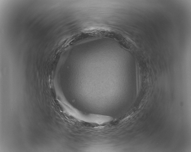 X0000052920965200508050759