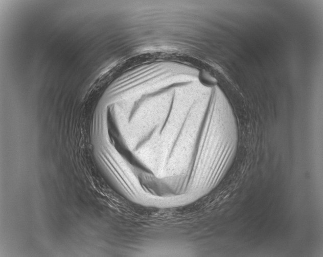 X0000052920967200508050759