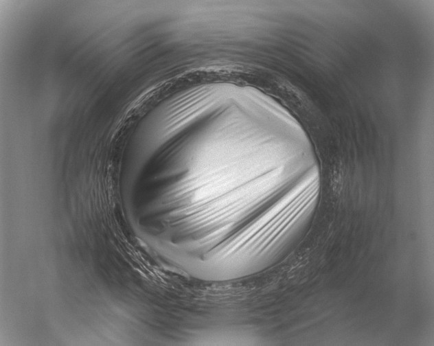 X0000052920968200508050759