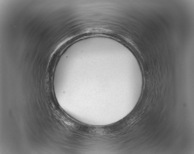 X0000052920971200508050759