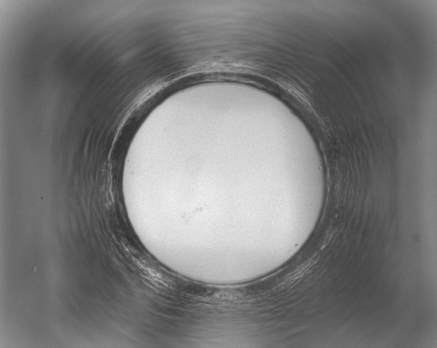 X0000052920974200508050759