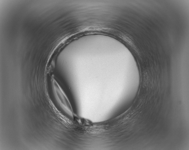 X0000052920976200508050759