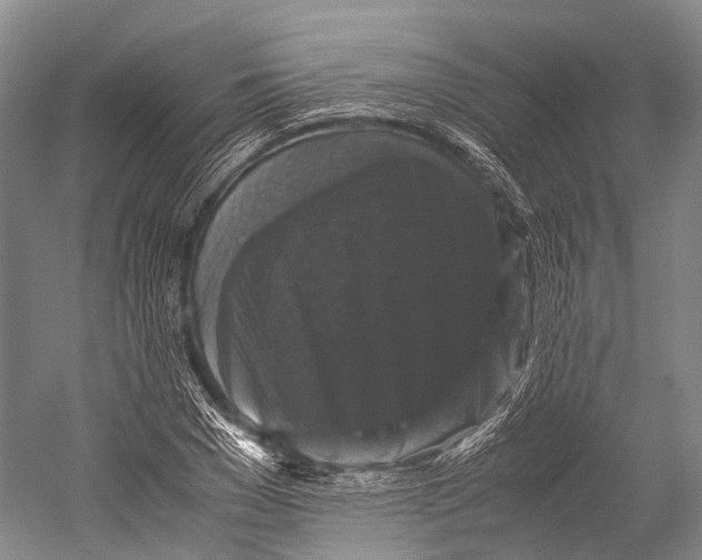 X0000052920977200508050759