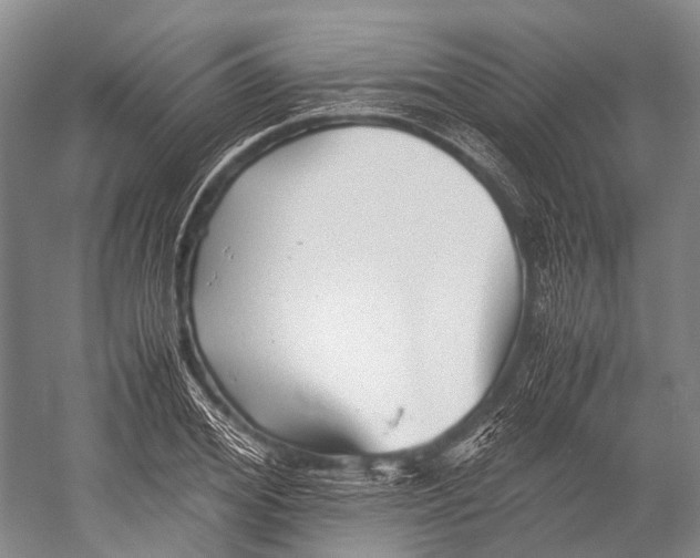 X0000052920980200508050759