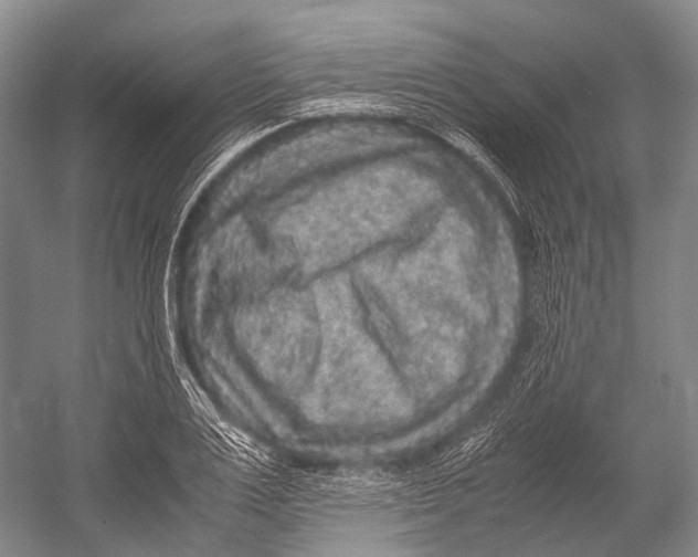X0000052920983200508050759