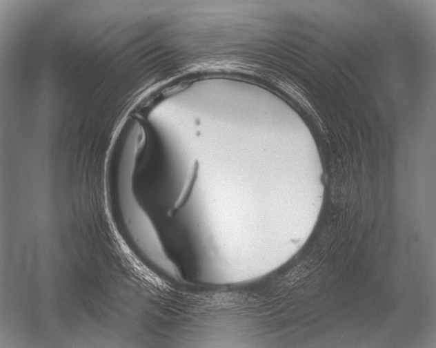 X0000052920984200508050759