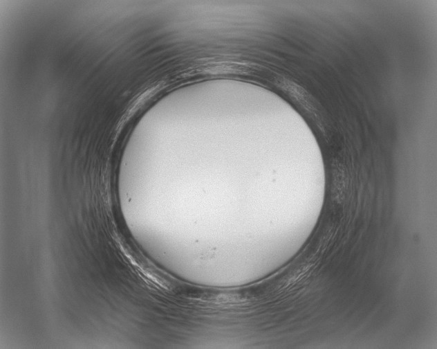 X0000052920986200508050759
