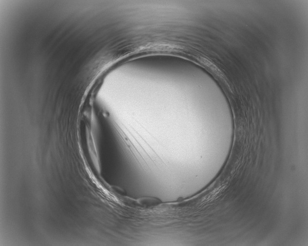 X0000052920989200508050759