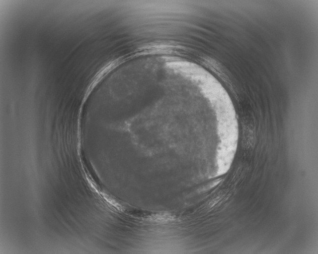 X0000052920994200508050758