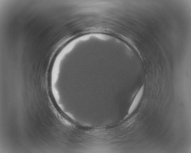 X0000052920995200508050758