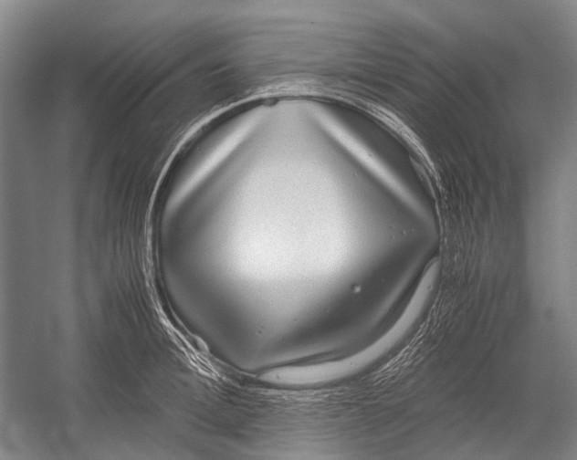 X0000052920996200508050758