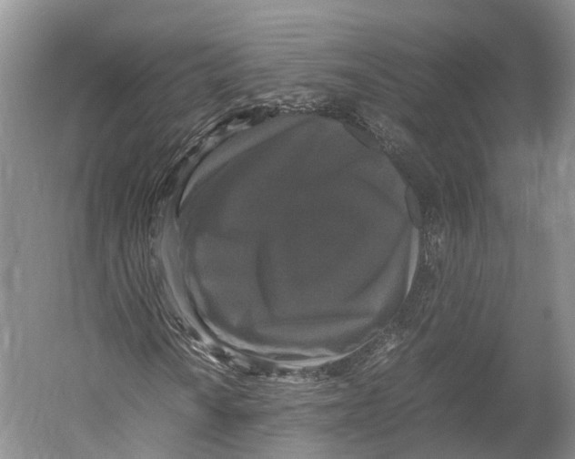 X0000052921010200508050757