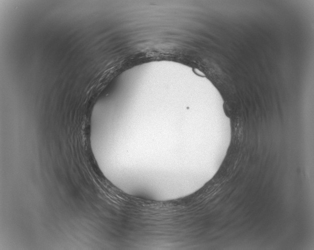 X0000052921012200508050757