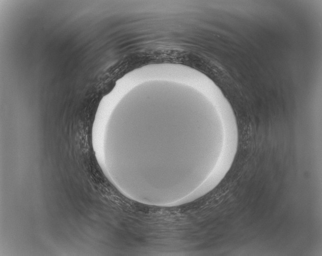 X0000052921013200508050757