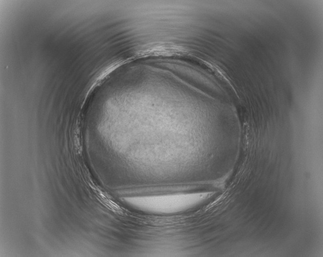 X0000052921018200508050758