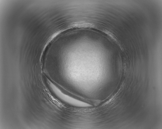 X0000052921022200508050758