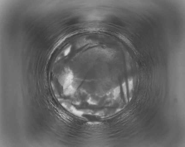 X0000052921023200508050758