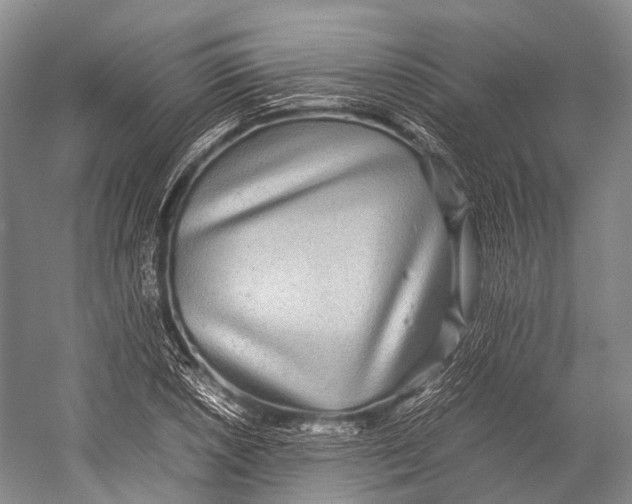 X0000052921026200508050758