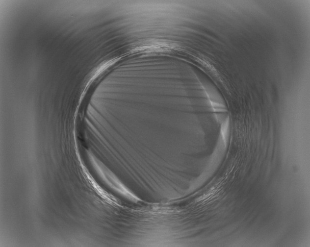 X0000052921034200508050758