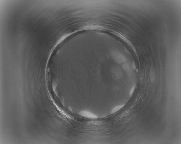 X0000052921037200508050758