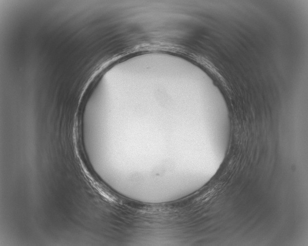 X0000052921040200508050758
