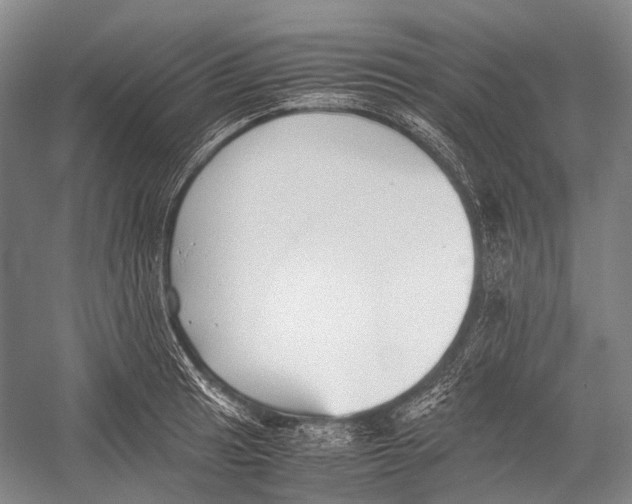 X0000052921041200508050758