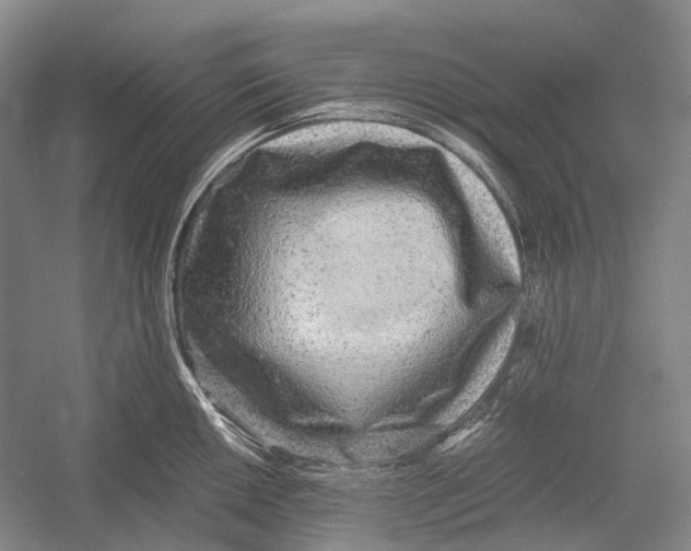 X0000052921050200508050758