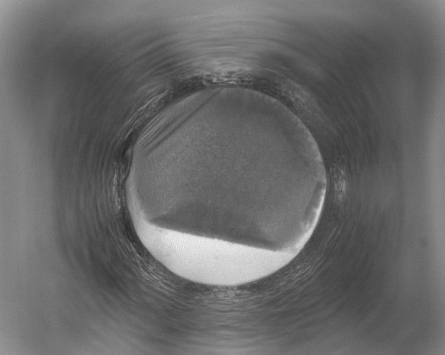 X0000052921060200508050757