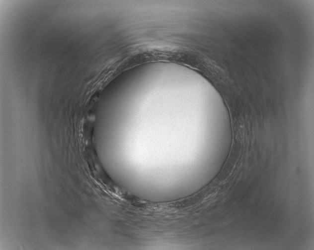 X0000052921061200508050757